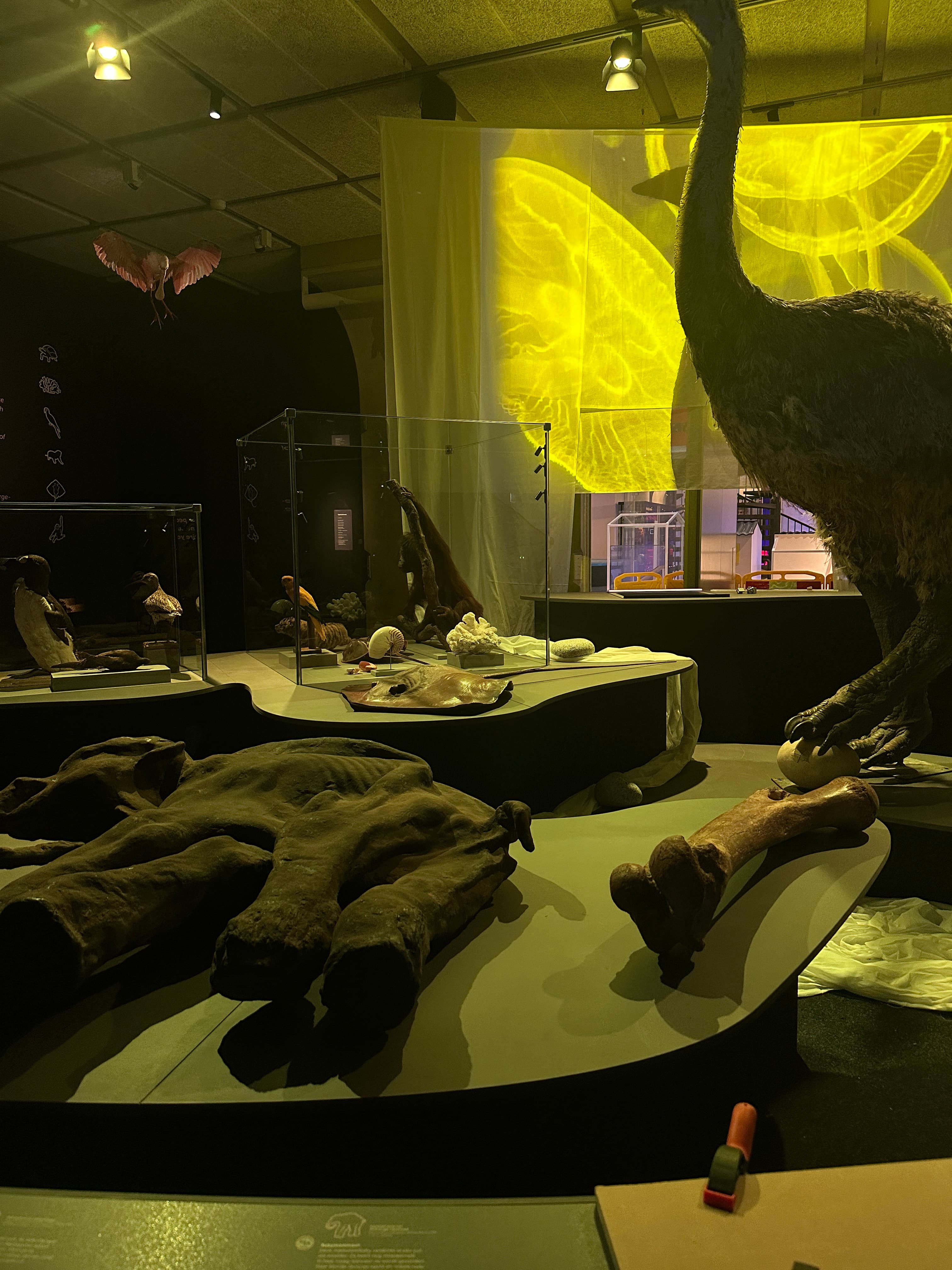 Immersive natural-history exhibition at Omniversum Museon