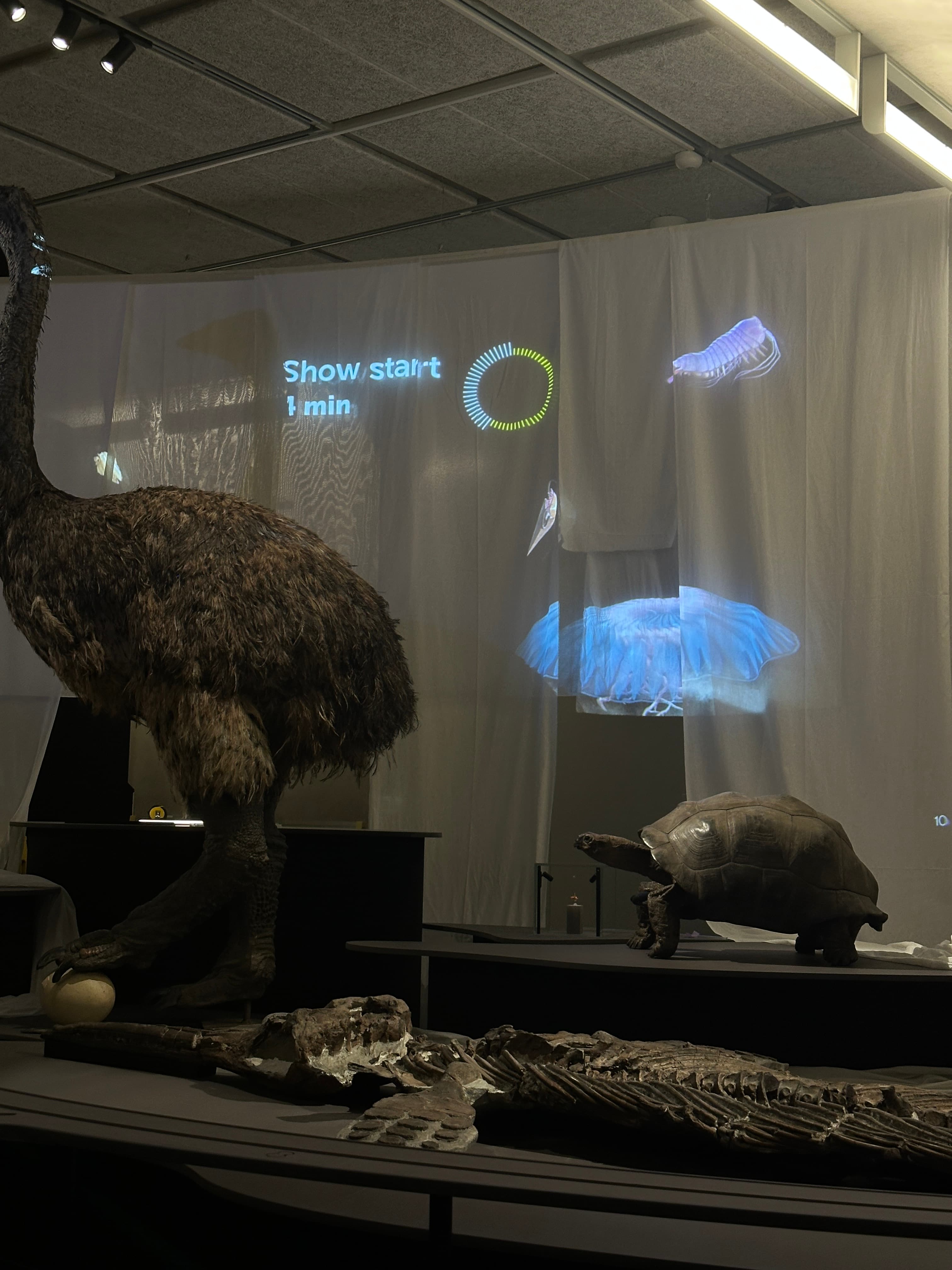 Omniversum Museon image 3