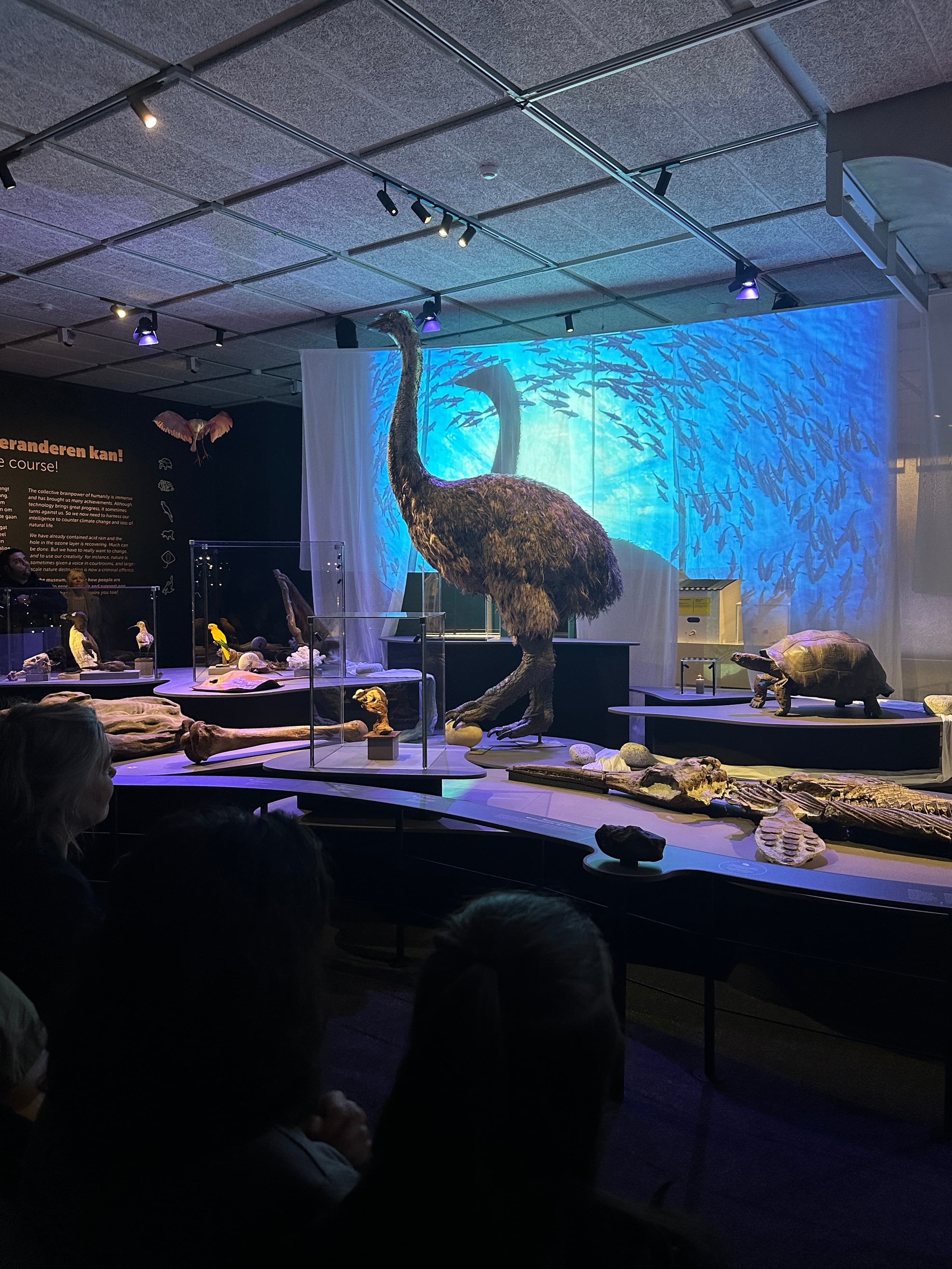 Omniversum Museon image 6